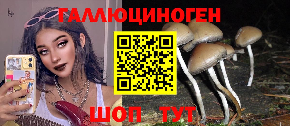 Псилоцибиновые грибы MAGIC MUSHROOMS  Галлюциногенные грибы Psilocybine cubensis  Вход с VPN  Хабаровск 